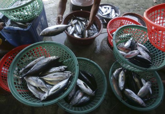 Filipijnse vissers keren terug bij Scarborough-schol