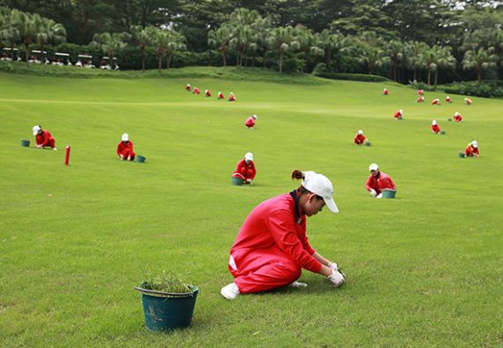 China heeft 140 golfbanen gesloten